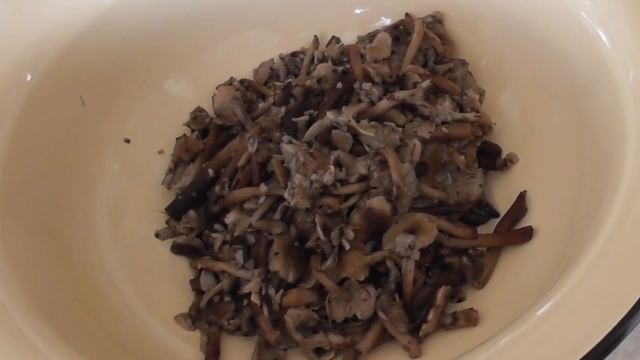 Заготовка опят на зиму.Готовим вкусняшки из опят смотреть онлайн