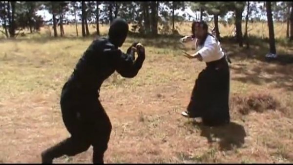 Samurai vs Ninja