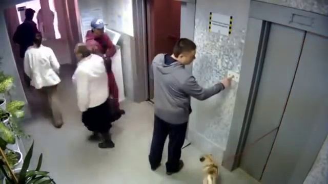 Мопсу повезло, но не с хозяйкой смотреть онлайн
