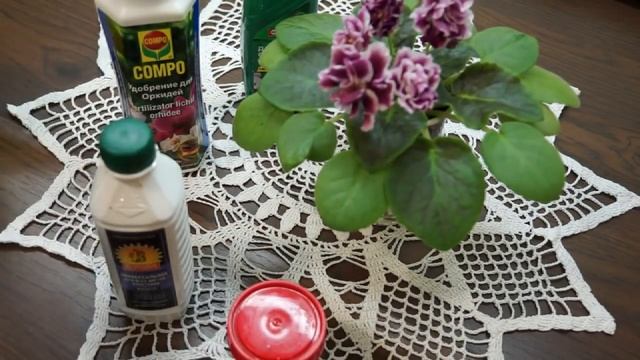 Два способа удобрения фиалок на фитиле.Фиалка "Морозная Вишня":наблюдения смотреть онлайн