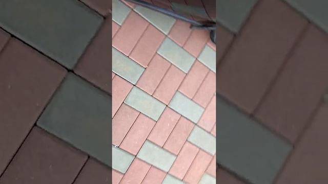 10 сентября 2022 г.