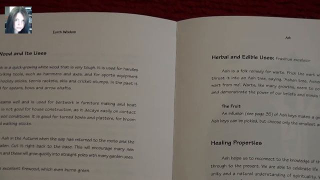 Earth Wisdom - For Ogham Pathworking смотреть онлайн