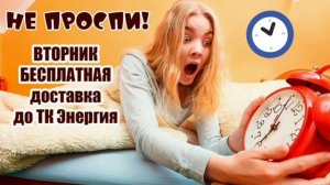 Вторник Бесплатная доставка до ТК Энергия. Поторопись!
