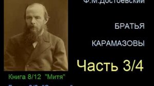 « Братья Карамазовы « - Часть 3/4 - Книга 8/12 - Глава 6/8