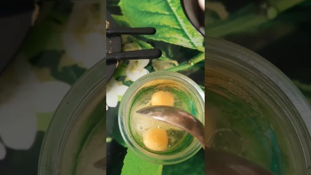 Как приготовить дома вкусный майонез? Запросто!!! смотреть онлайн
