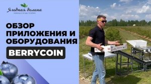 Обзор приложения и оборудования для калибровки и фасовки ягод Berrycoin