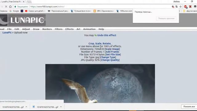 Анимация из двух картинок смотреть онлайн
