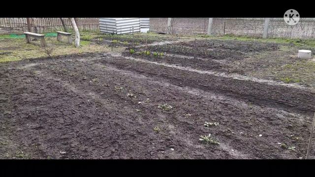 VLOG✔ Пеку булочки? огород ✔Волга? весенний ливень?? #огород #ирэскаvlog #деревенскаяжизнь #мойдень смотреть онлайн