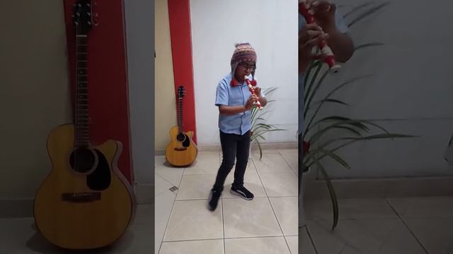 Mi Musica de Condor Pasa En Flauta Dulce смотреть онлайн