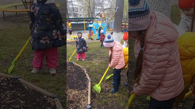 Зелёные дела 
МАДОУ № 233 г. Екатеринбург