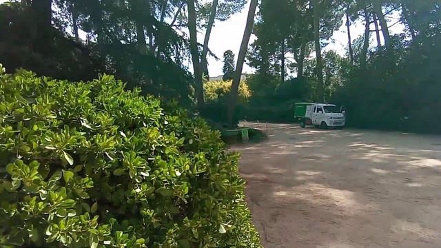 1 сентября 2023 г. Занимательная история и биология смотреть онлайн