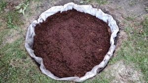 Посадка голубики. Самый правильный Грунт для голубики.