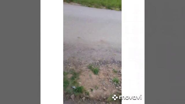 благоустройство вдоль забора от начала до газона. смотреть онлайн
