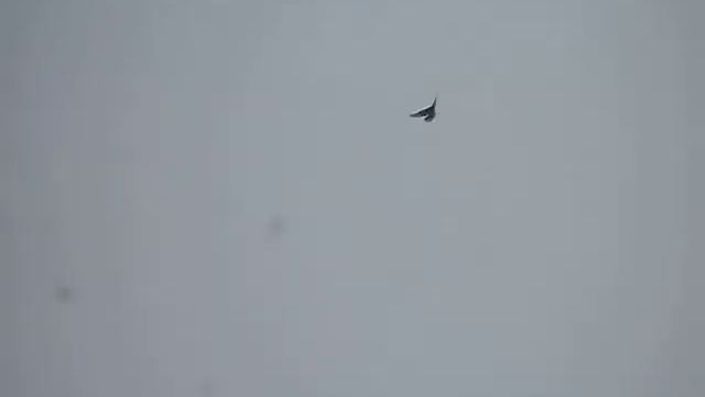 узбекские.  набор игры