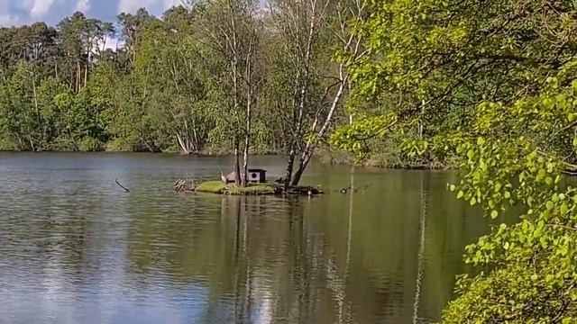 VLOG #19 - В МИРЕ ЖИВОТНЫХ #германия смотреть онлайн