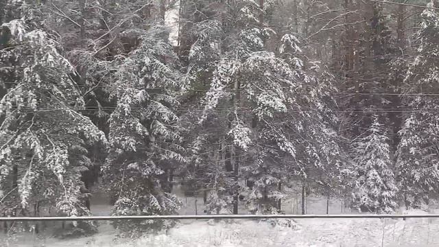 Зимняя сказка брянского леса смотреть онлайн