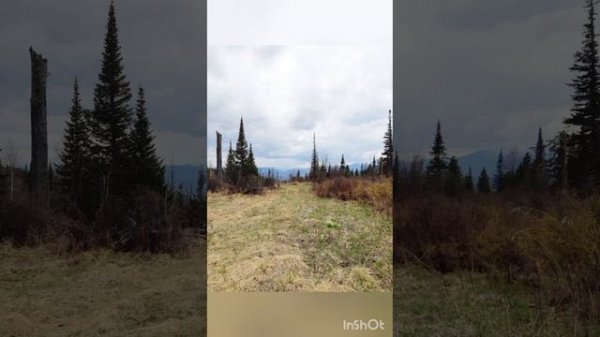 Алтай кожондор 🔥