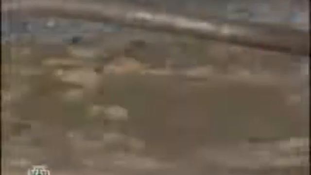 Тюремные наколки   Значение тюремных татуировок