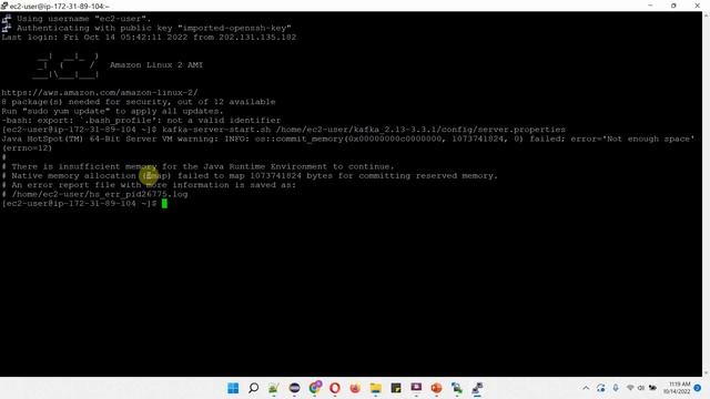 Install Apache Kafka on Amazon EC2 Instance or Linux Operating System? | Hands-on Kafka using CLI смотреть онлайн