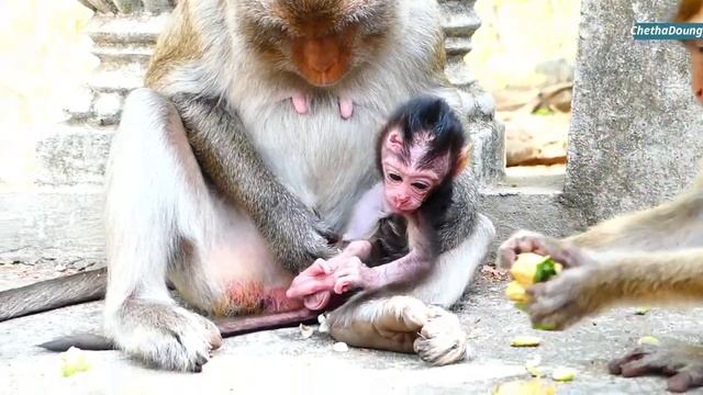 Adorable Tiny Boy Benny React to the Holding of Melona and Try to Avoid Touch Wound смотреть онлайн