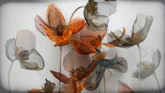 ProShow Slideshow А .Шнитке "Сказка странствий" смотреть онлайн