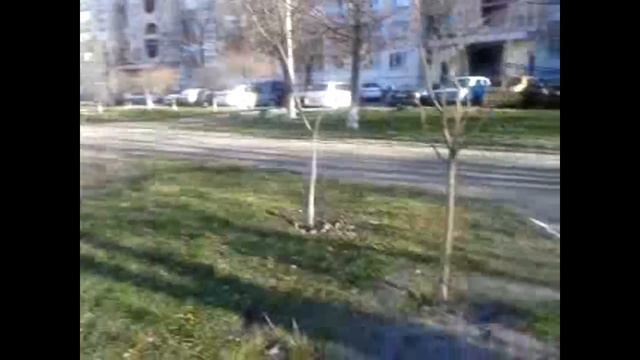 Домашний влог... смотреть онлайн