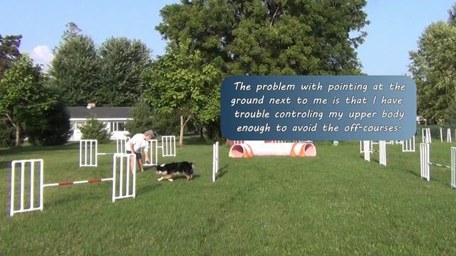 The Flappy Tappy Advantage смотреть онлайн