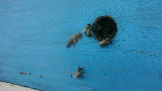 Летки на главном взятке смотреть онлайн