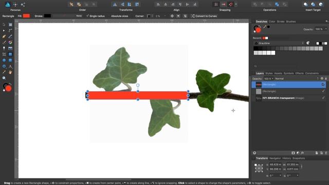 #19 Affinity Photo & Designer - Ivy repeating image brush [German subtitles] смотреть онлайн