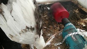 Перощипательная насадка. Честный обзор