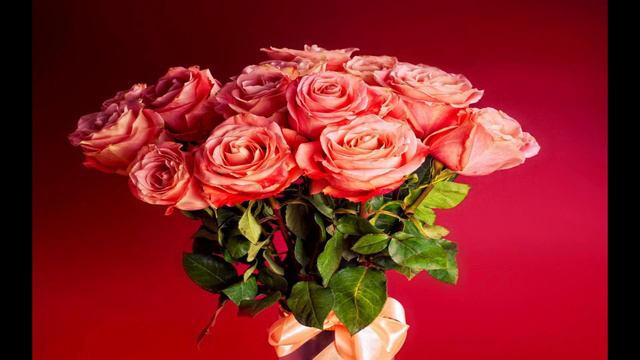 Розалии розы на стену в Контакте смотреть онлайн