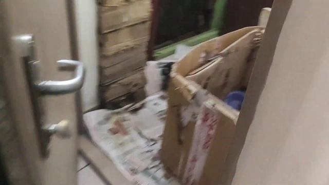 магическое солнце ☀️ как обещал волшебник 29 ноября. Карлуша вернулась домой - УРА!!! смотреть онлайн