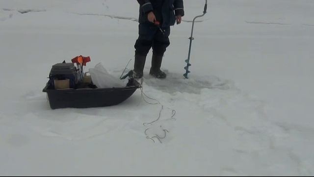 Сумашедший клёв Окуня! С одной лунки 37штук смотреть онлайн