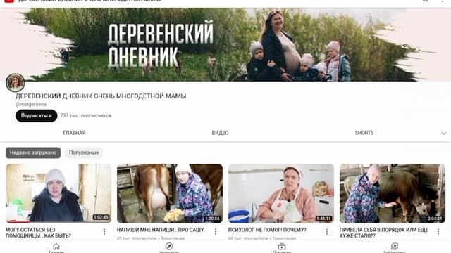 Как правильно разжалобить что бы донатили/ деревенский дневник очень многодетной мамы смотреть онлайн