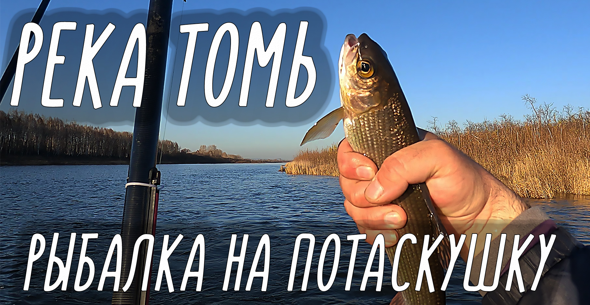 ДИКИЙ КЛЕВ ХАРИУСА, РЕКА ТОМЬ РЫБАЛКА НА УДОЧКУ смотреть онлайн