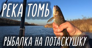 ДИКИЙ КЛЕВ ХАРИУСА, РЕКА ТОМЬ РЫБАЛКА НА УДОЧКУ