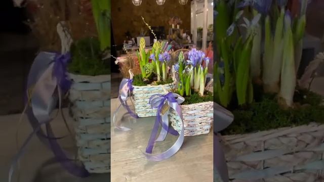 Первоцветы. 8 марта #подарокна8марта #цветы #первоцветы смотреть онлайн