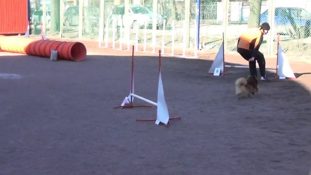 Д-Open Small - Шинкаревич Любовь и шпиц Сима смотреть онлайн