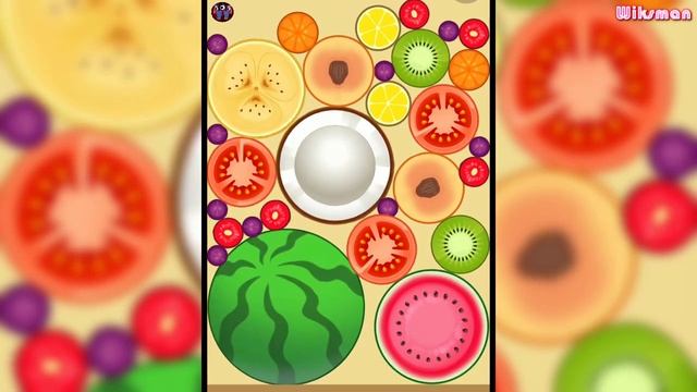 Watermelon Merge! - MAX LEVEL FRUIT EVOLUTION! (9999+ Level!) смотреть онлайн