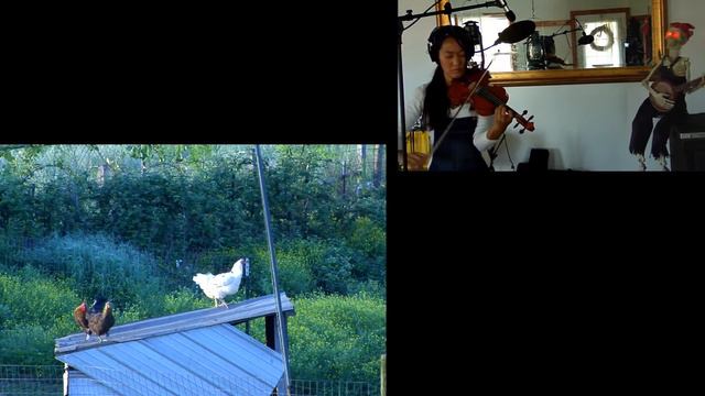 Chicken Reel with our happy chickens Jamming with Skeleton #4 смотреть онлайн