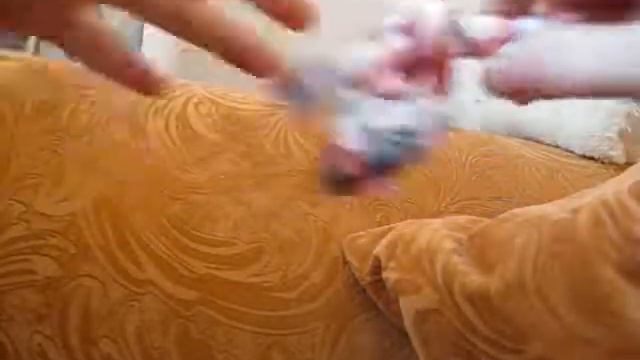 Распаковка товара для собаки с Али Экспресс. Почтальон только что принес :3 смотреть онлайн