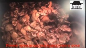 Линия по производству гранатового сока