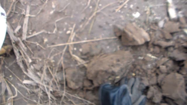 Личные рекорд по серебру!!!Поиск с птичкой . смотреть онлайн