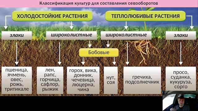 Принципы построения севооборота полевых культур смотреть онлайн