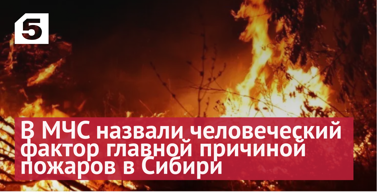 Поймали по горящим следам: кто виноват в смертельных сибирских пожарах смотреть онлайн