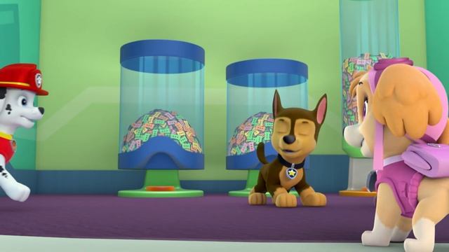 PAW Patrol Friendship Song for Valentine's Day | PAW Patrol | Cartoons for Kids смотреть онлайн