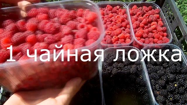 Самый вкусный компот / Как сделать компот на зиму /Классические пропорции для компота смотреть онлайн