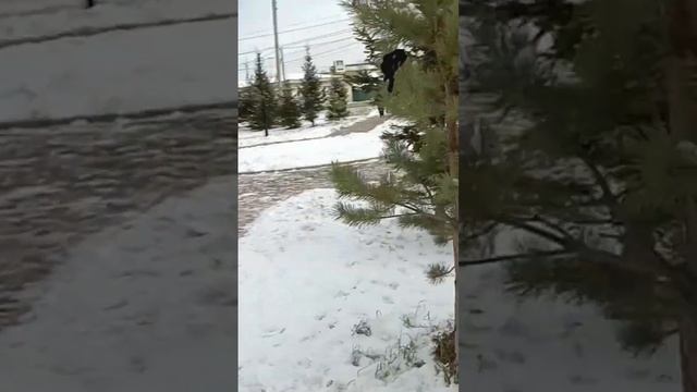 Зима! Веник! Баня! смотреть онлайн