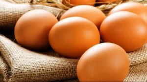 Срок годности яиц: это надо знать