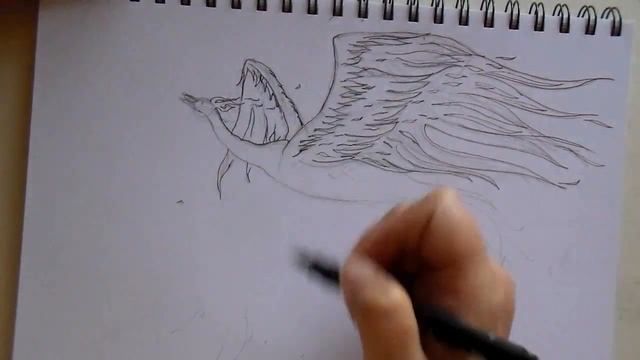 Drawing a Phoenix: Sketch Video 40 смотреть онлайн